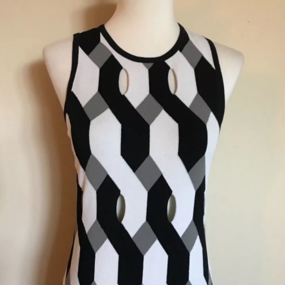 Rag & Bone Olympia Printed Cutout Dress - Picture 6 of 9